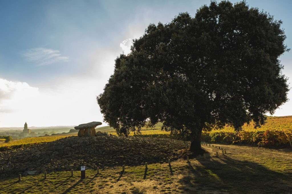 Lar de Paula: el entorno de la Rioja Alavesa
